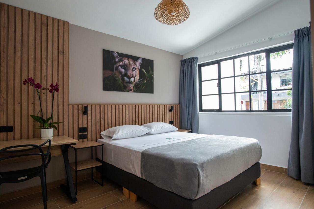 Vita Hotel Boutique ميديلين المظهر الخارجي الصورة