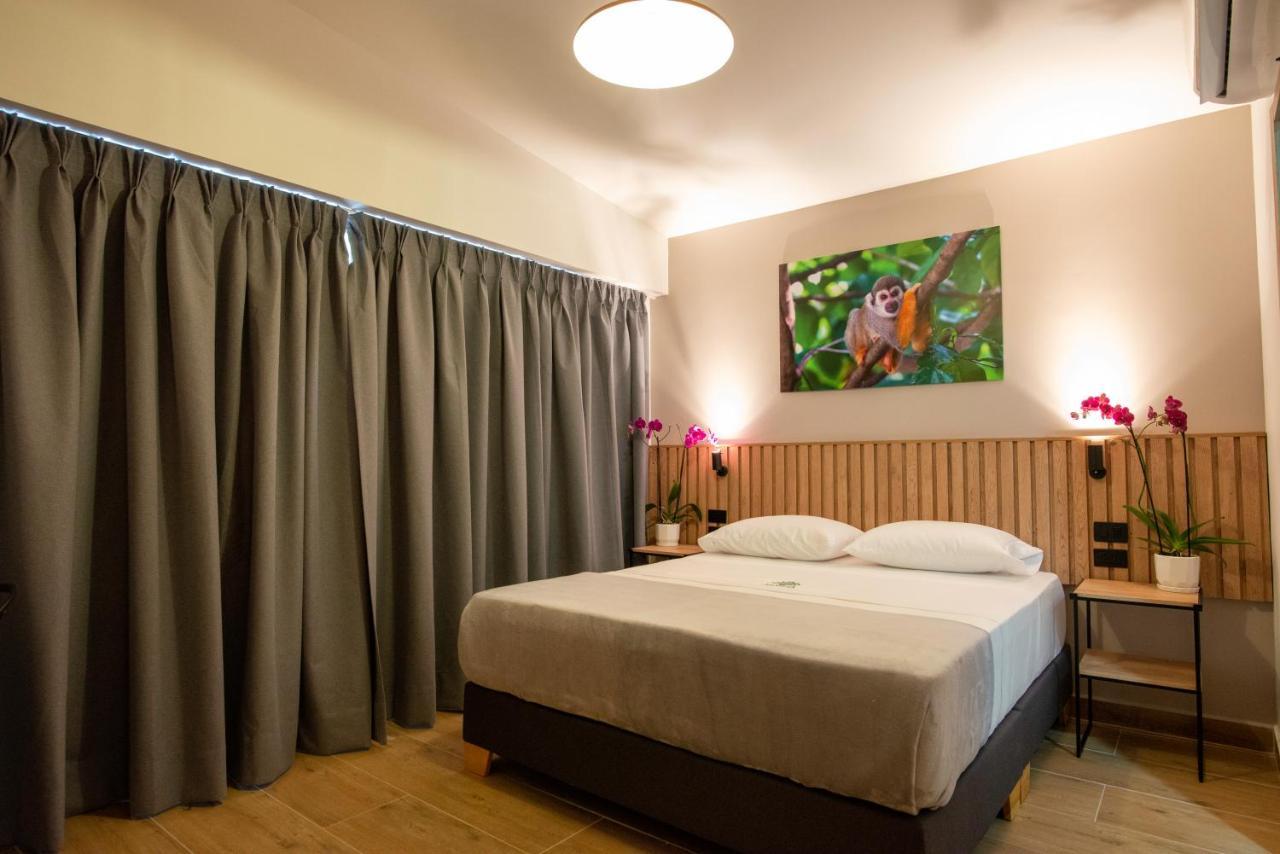 Vita Hotel Boutique ميديلين المظهر الخارجي الصورة