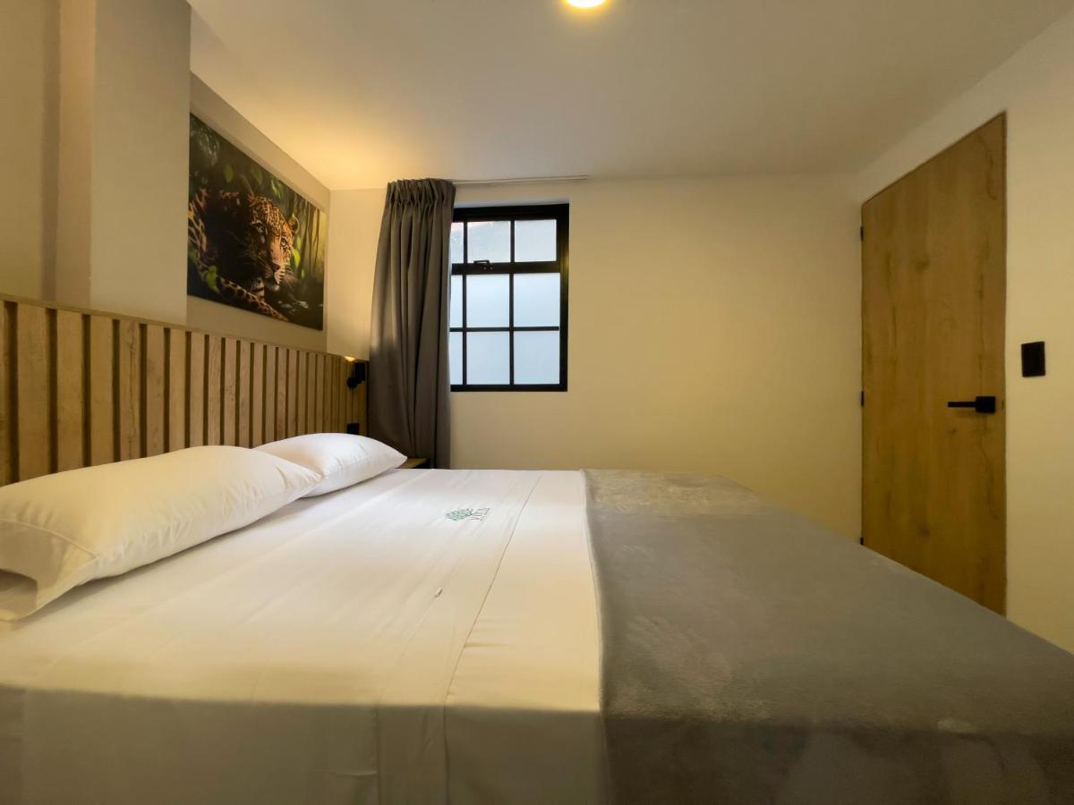 Vita Hotel Boutique ميديلين المظهر الخارجي الصورة