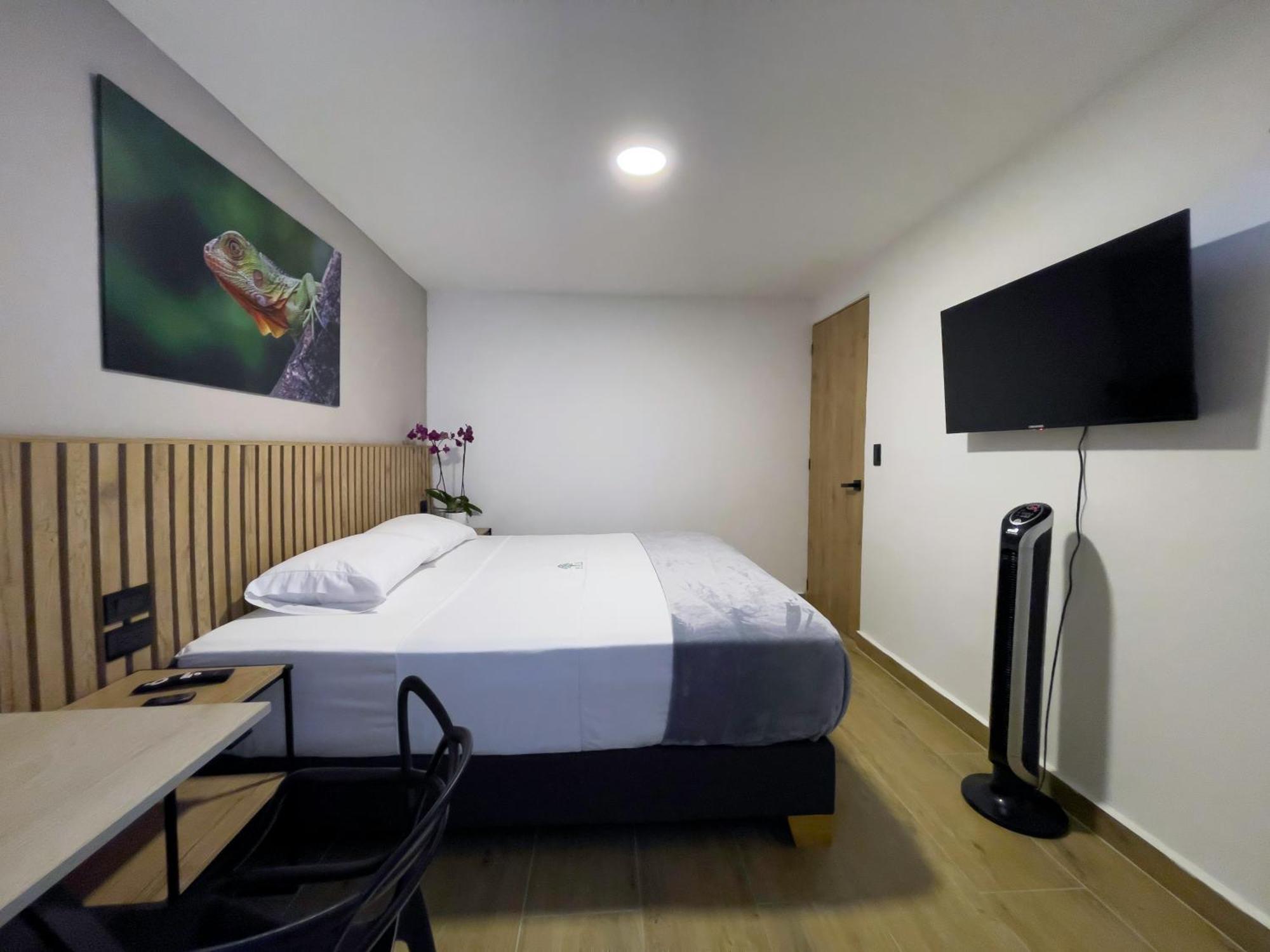 Vita Hotel Boutique ميديلين المظهر الخارجي الصورة