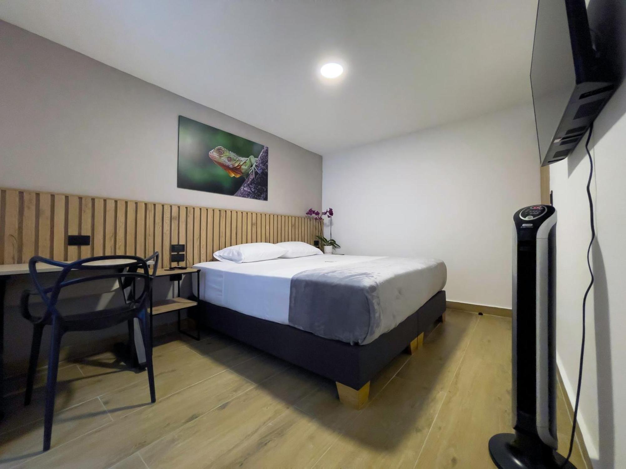 Vita Hotel Boutique ميديلين المظهر الخارجي الصورة