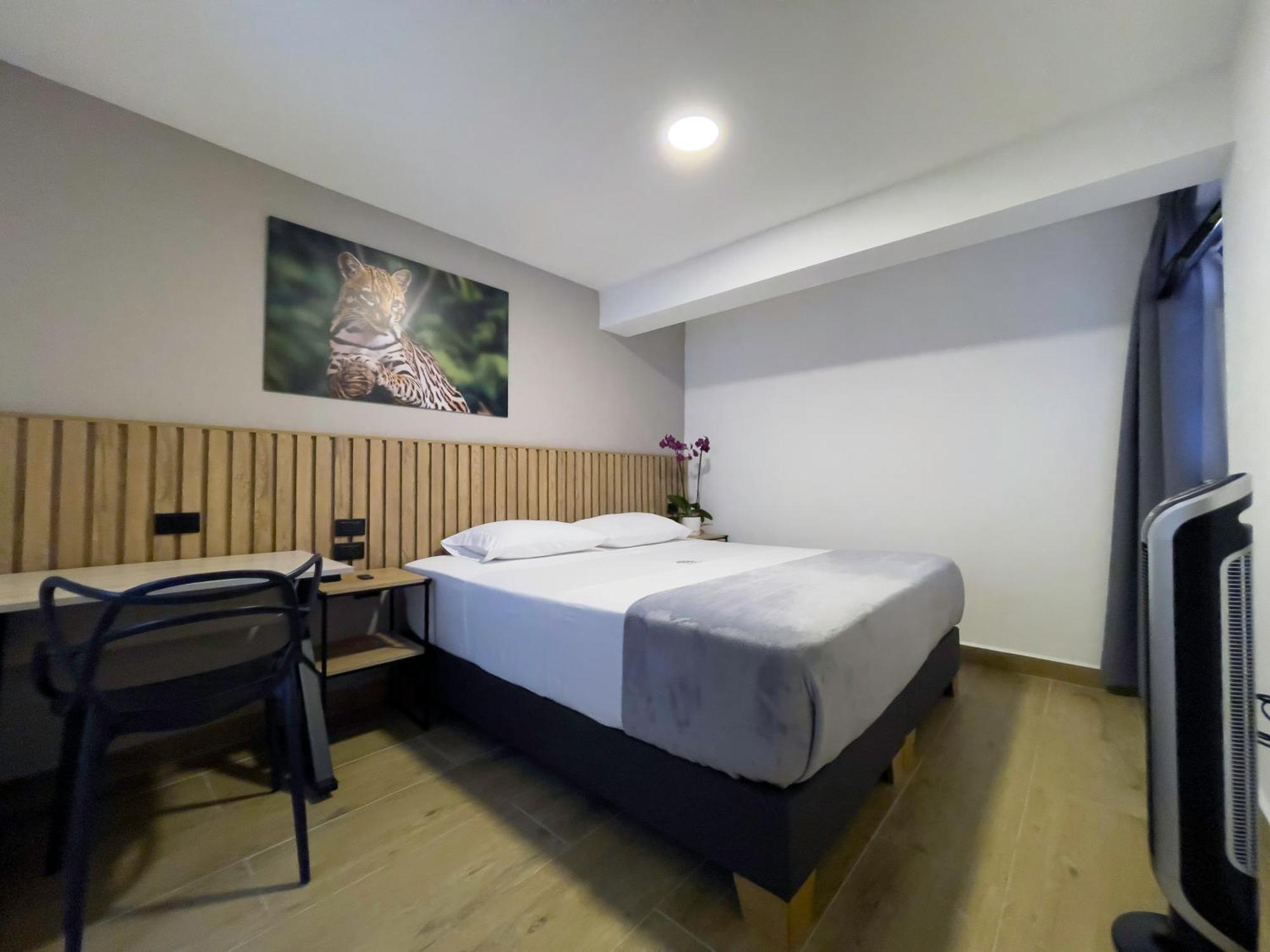 Vita Hotel Boutique ميديلين المظهر الخارجي الصورة
